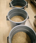 Green coffee weighed out by lot at the HoneyCo roastery