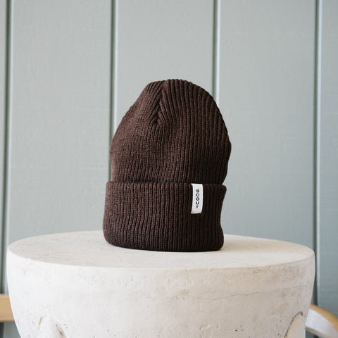 Scout Beanie in Brown